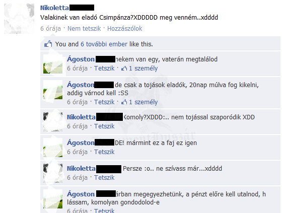 Eladó csimpánz
 
