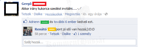 Kukorica szedést invitálni
 
