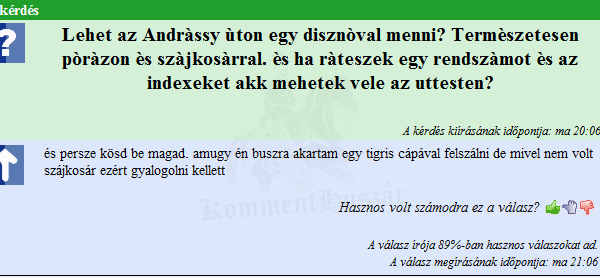 Háziállat sétáltatás
 
