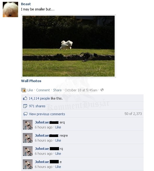 Úgysem érti meg, csak egy kutya.
 
