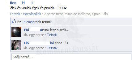 szoli
 
