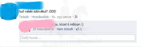 Tud valaki szlovákul?
 
