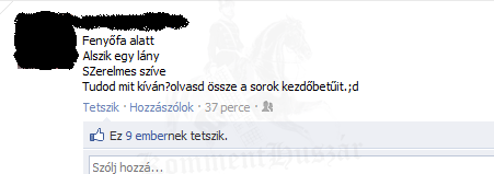 Őszinte kívánság 
 
