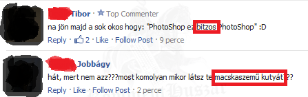 Macskaszemű kutya
 
