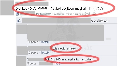 Konnektor és a szeg 
 
