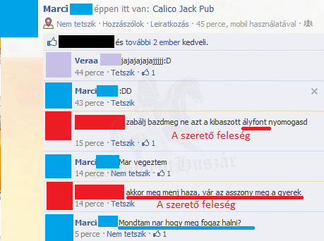 Ideális családmodell
 
