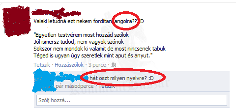 értő olvasás
 
