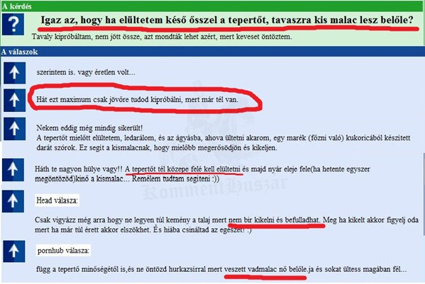 Tepertőből kismalac...
 
