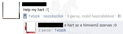 Hímszarvas
 
