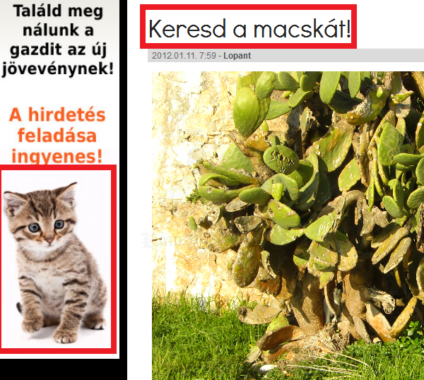 keresd a mackát!
 
