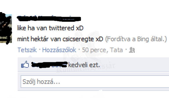 Van rosszabb a google fordítónál!
 
