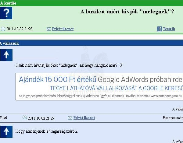 A buzik miért melegek?
 
