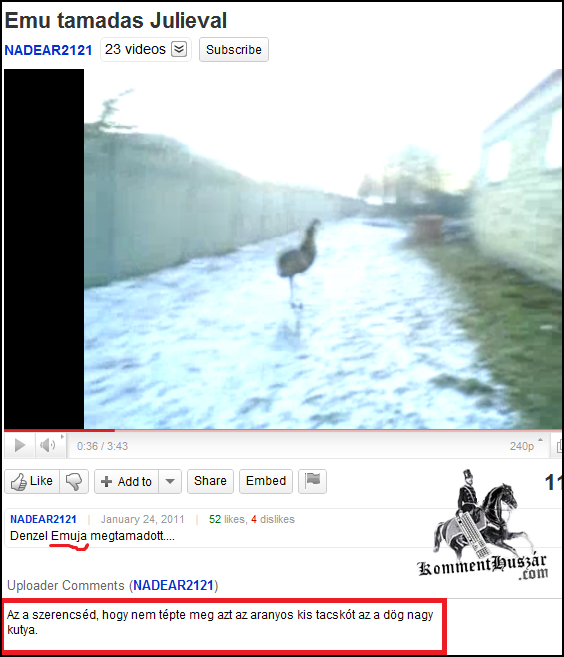 Állatfajok zavarában
 
